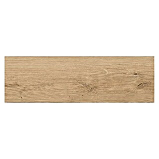 Cersanit Porculanska pločica (D x Š: 598 x 185 mm, Smeđe boje, Mat)
