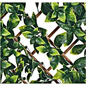 Zastirka iz gorskega bambusa  (Do x V: 1 x 2 m, Zelena) | 7428 - Sichtschutzmatten Kunststoff | IAGC - Sichtschutz | IAG - Außenbereichsausstattung | IA - Gartenhartware | I - Stadtgarten | BAUHAUS