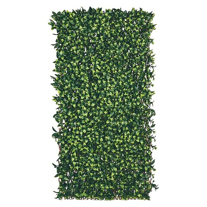 Zastirka iz gorskega bambusa  (Do x V: 1 x 2 m, Zelena) | 7428 - Sichtschutzmatten Kunststoff | IAGC - Sichtschutz | IAG - Außenbereichsausstattung | IA - Gartenhartware | I - Stadtgarten | BAUHAUS