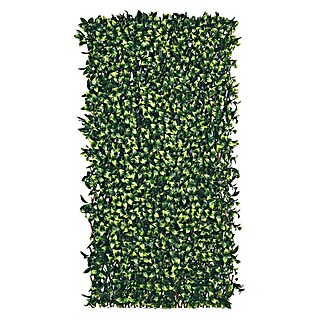 Zastirka iz gorskega bambusa (Do x V: 1 x 2 m, Zelena)