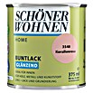 Schöner Wohnen Home Buntlack (Korallenrosa, 375 ml, Glänzend)