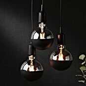 Paulmann Neordic Pendelleuchte (3 x 20 W, Schwarz, Höhe: 200 cm)