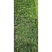 Umjetna trava HARRINGTON  (4 x 1 m, Zelena) | BAUHAUS