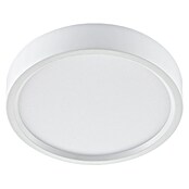 Green Tech LED panel okrugli  (Ø x V: 210 x 40 mm, 18 W, Neutralno bijelo) | BAUHAUS