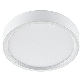 Green Tech LED panel okrugli (Ø x V: 210 x 40 mm, 18 W, Neutralno bijelo)