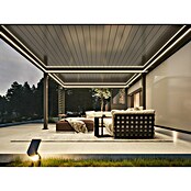 Paviljon Bellano S25  (D x Š: 403,5 x 585,5 cm, Tamno siva) | BAUHAUS