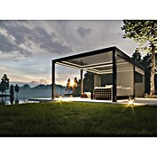 Paviljon Bellano S25  (D x Š: 403,5 x 585,5 cm, Tamno siva) | BAUHAUS