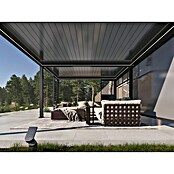 Pergola Bellano S25  (Do x Š: 403,5 x 585,5 cm, Antracit) | 8298 - Gartenzelte/Pavillons | ICFA - Sonnenschutz | ICF - Sonnenschutz | IC - Freizeit im Garten | I - Stadtgarten | BAUHAUS