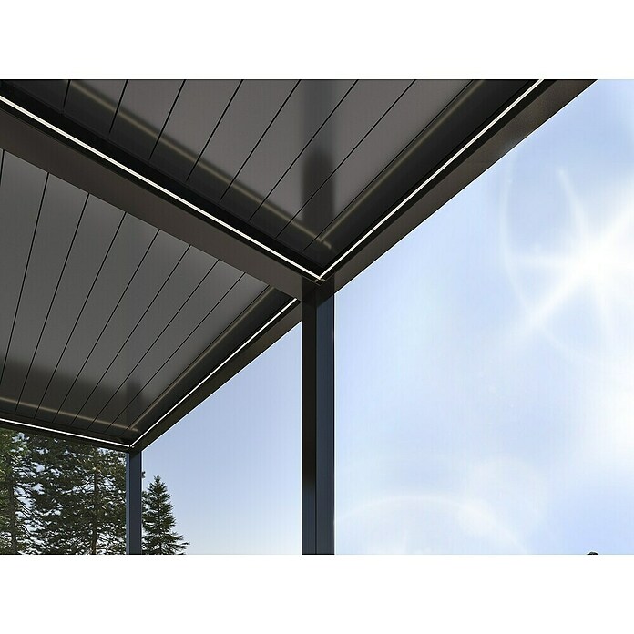 Paviljon Bellano S25  (D x Š: 403,5 x 585,5 cm, Tamno siva) | BAUHAUS