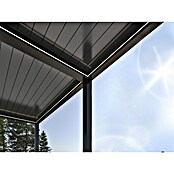 Paviljon Bellano S25  (D x Š: 403,5 x 585,5 cm, Tamno siva) | BAUHAUS