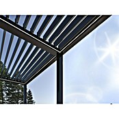 Pergola Bellano S25  (Do x Š: 403,5 x 585,5 cm, Antracit) | 8298 - Gartenzelte/Pavillons | ICFA - Sonnenschutz | ICF - Sonnenschutz | IC - Freizeit im Garten | I - Stadtgarten | BAUHAUS