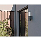 Steinel LED senzorska zunanja stenska svetilka L 625 CAM  (14 W, Do x Š x V: 13,1 x 7,8 x 30,5 cm, Antracit/Bela, Toplo bela) | 3079 - Wandleuchte outdoor mit Bewegungsmelder | CAJA - Outdoorleuchten Hochvolt | CAJ - Outdoorleuchten | CA - Beleuchtung | C - Elektro | BAUHAUS