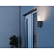Steinel LED senzorska zunanja stenska svetilka L 625 CAM  (14 W, Do x Š x V: 13,1 x 7,8 x 30,5 cm, Antracit/Bela, Toplo bela) | 3079 - Wandleuchte outdoor mit Bewegungsmelder | CAJA - Outdoorleuchten Hochvolt | CAJ - Outdoorleuchten | CA - Beleuchtung | C - Elektro | BAUHAUS