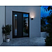 Steinel LED senzorska zunanja stenska svetilka L 625 CAM  (14 W, Do x Š x V: 13,1 x 7,8 x 30,5 cm, Antracit/Bela, Toplo bela) | 3079 - Wandleuchte outdoor mit Bewegungsmelder | CAJA - Outdoorleuchten Hochvolt | CAJ - Outdoorleuchten | CA - Beleuchtung | C - Elektro | BAUHAUS