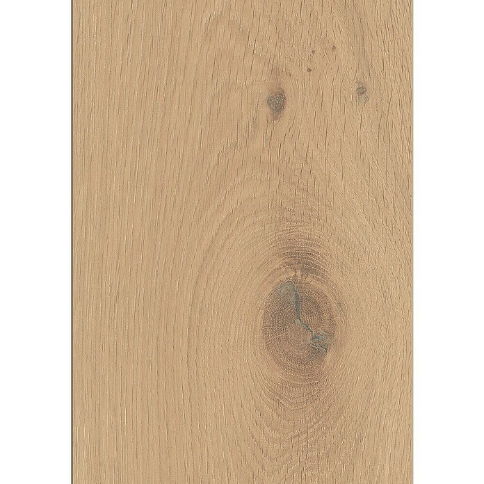LOGOCLIC Silentos Laminat Hrast Forli  (Rustikalen videz, 1.288 x 195 x 9 mm) | 5142 - Logoclic Silentos | GCDA - Laminatboden | GCD - Wand Boden Decke Leisten | GC - Wand Boden Decke Leisten | G - Holz/Bauelem | BAUHAUS
