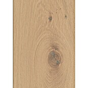 LOGOCLIC Silentos Laminat Hrast Forli  (Rustikalen videz, 1.288 x 195 x 9 mm) | 5142 - Logoclic Silentos | GCDA - Laminatboden | GCD - Wand Boden Decke Leisten | GC - Wand Boden Decke Leisten | G - Holz/Bauelem | BAUHAUS