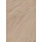 LOGOCLIC Vinto Laminat  (Hrast Venetia, Rustikalen videz, 1.288 x 195 x 8 mm) | 5140 - Logoclic Vinto | GCDA - Laminatboden | GCD - Wand Boden Decke Leisten | GC - Wand Boden Decke Leisten | G - Holz/Bauelem | BAUHAUS