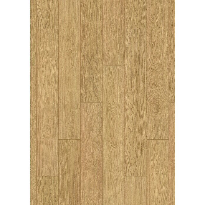 LOGOCLIC Vinto Laminat Summer  (Rustikalni pod, 1.288 x 195 x 8 mm) | BAUHAUS