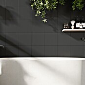 Feinsteinzeugfliese Basic Black (25 x 25 cm, Schwarz, Matt) | BAUHAUS