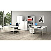 ArtExport Presto Armario para archivadores Venere (L x An x Al: 35 x 80 x 120 cm, Blanco, Bajo) | BAUHAUS