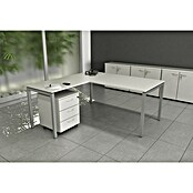 ArtExport Presto Armario para archivadores Venere (L x An x Al: 35 x 80 x 120 cm, Blanco, Bajo) | BAUHAUS