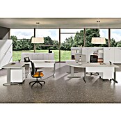 ArtExport Presto Armario para archivadores Venere (L x An x Al: 35 x 80 x 120 cm, Gris, Bajo) | BAUHAUS