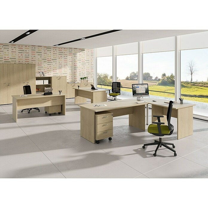 ArtExport Presto Armario para archivadores Venere (L x An x Al: 35 x 80 x 180 cm, Roble, Alto) | BAUHAUS