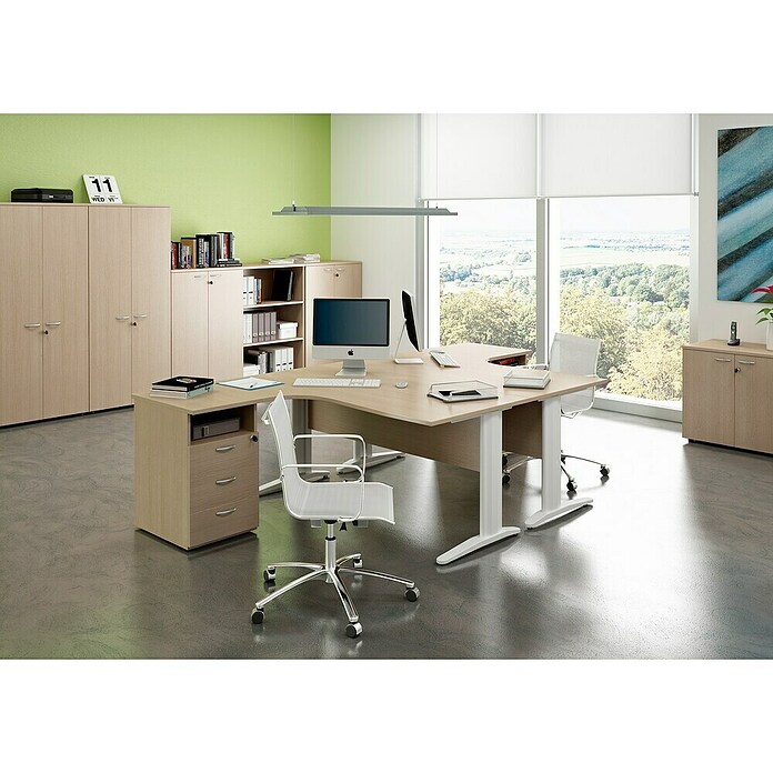 ArtExport Presto Armario para archivadores Venere (L x An x Al: 35 x 80 x 180 cm, Roble, Alto) | BAUHAUS