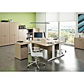 ArtExport Presto Armario para archivadores Venere (L x An x Al: 35 x 80 x 180 cm, Roble, Alto) | BAUHAUS