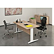ArtExport Presto Cajonera con ruedas Venere (L x An x Al: 52 x 43 x 59,5 cm, Roble, Número de cajones: 3 ud.) | BAUHAUS