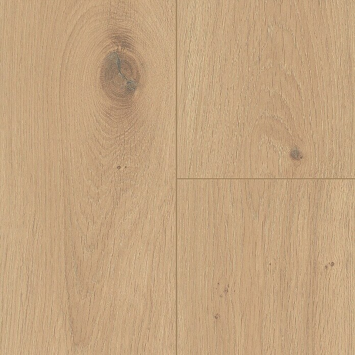 LOGOCLIC Silentos Laminat Eiche Forli (Eiche Forli, Landhausdiele, 1 288 x 195 x 9 mm) | BAUHAUS