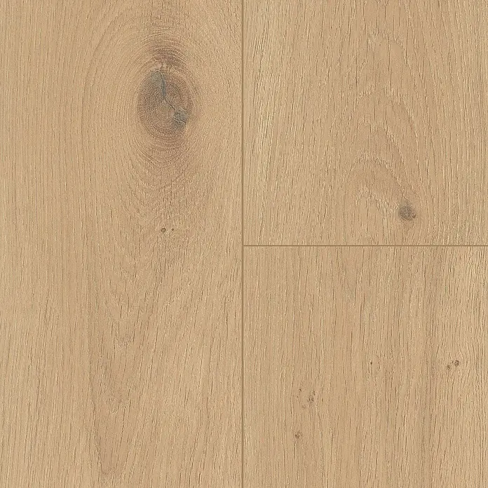 LOGOCLIC Silentos Laminat - Eiche Forli, Landhausdiele, 1.288 x 195 x 9 mm - Nahaufnahme von vier Holzpaneelen mit hellbraunen Farbtönen und ausgeprägter Maserung, die ein warmes, natürliches Erscheinungsbild vermitteln.