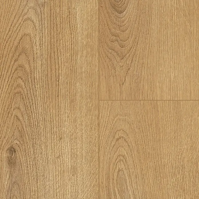 LOGOCLIC Family Laminat - Dolo, Landhausdiele, 1.288 x 195 x 7 mm - Nahaufnahme von hellem Laminatboden mit natürlicher Holzmaserung, ideal für moderne Innenräume und stilvolle Bodenbeläge.