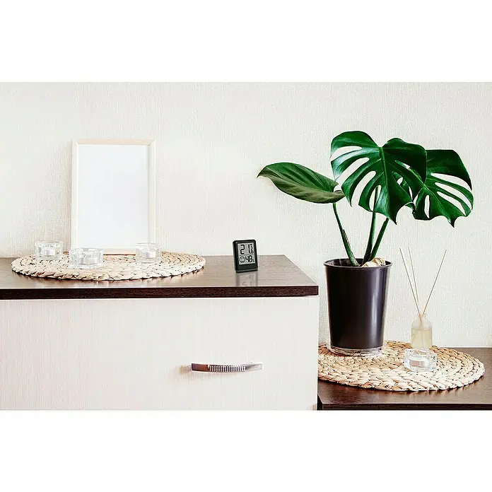 TFA Dostmann Funk-Thermo-Hygrometer - Digital - Nahaufnahme eines Zimmers mit einer Pflanze, einem Rahmen und einem Thermometer auf einem Tisch.