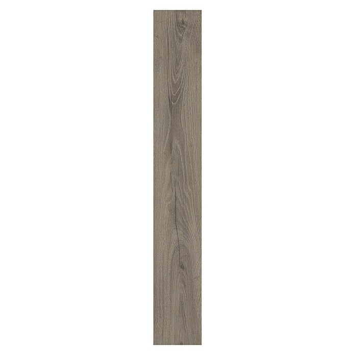 LOGOCLIC Ambienta Laminat Venus (Venus, Landhausdiele, 1 288 x 195 x 10 mm) | BAUHAUS
