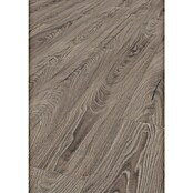 LOGOCLIC Ambienta Laminat Venus (Venus, Landhausdiele, 1 288 x 195 x 10 mm) | BAUHAUS