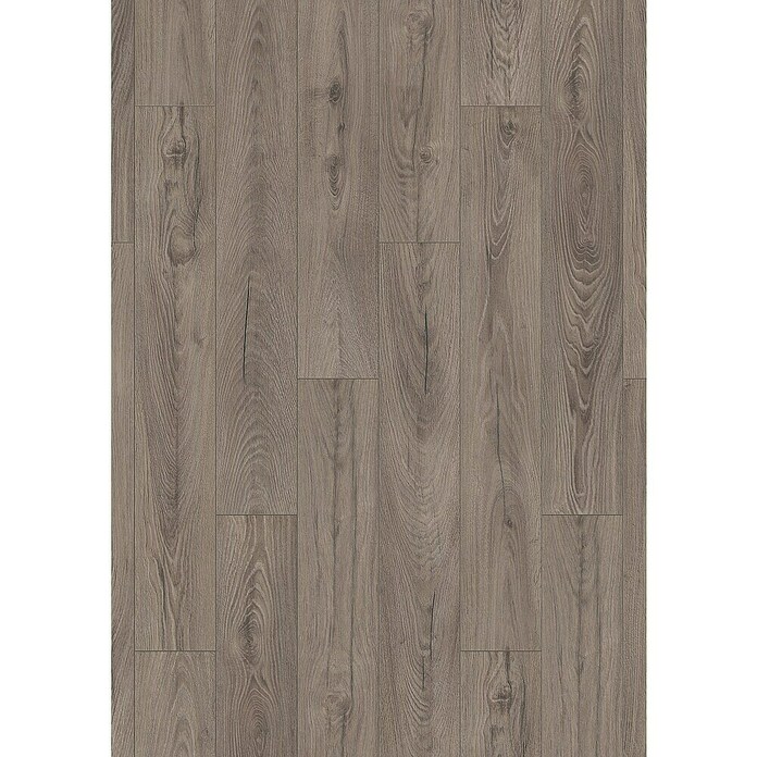 LOGOCLIC Ambienta Laminat Venus (Venus, Landhausdiele, 1 288 x 195 x 10 mm) | BAUHAUS