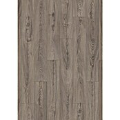LOGOCLIC Ambienta Laminat Venus (Venus, Landhausdiele, 1 288 x 195 x 10 mm) | BAUHAUS