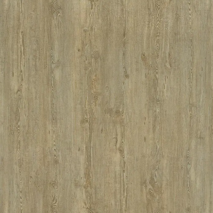Decolife Korkboden Freestyle Access - Winter Pine, 1.220 x 185 x 8,5 mm, Landhausdiele - Nahaufnahme eines Paneels aus hellem Kiefernholz mit markanter Maserung und Astlöchern. Ideal für rustikale Innenräume oder Möbeldesigns.