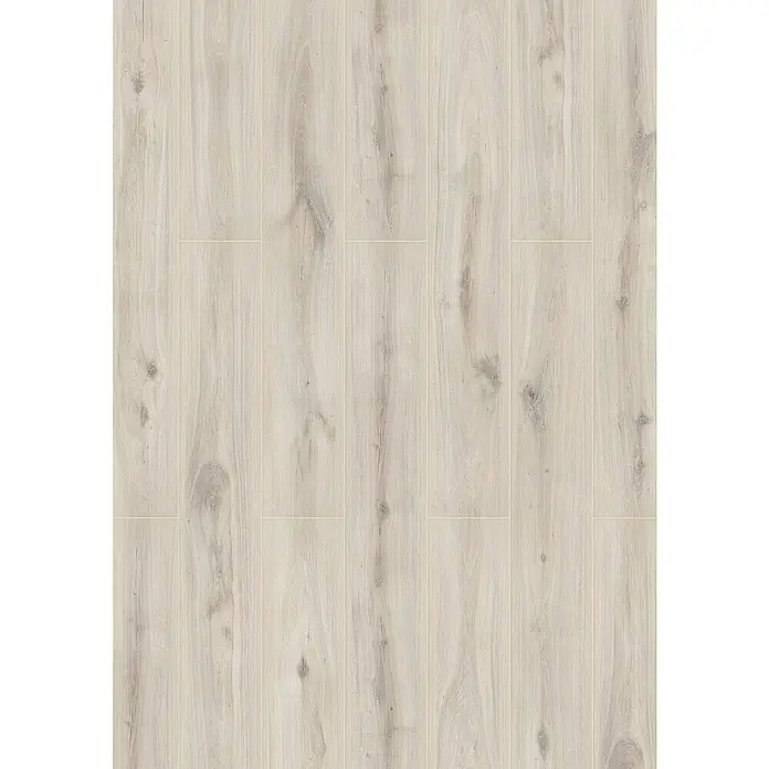 LOGOCLIC Aquaprotect Laminat - Beach Oak, Landhausdiele, 1.288 x 195 x 8 mm - Nahaufnahme von hellem Holzlaminatboden, der eine natürliche Holzstruktur und eine saubere, moderne Ästhetik zeigt.