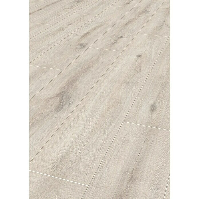 LOGOCLIC Aquaprotect Laminat Beach Hrast  (Rustikalen videz, 1.288 x 195 x 8 mm) | 5127 - Logoclic Aqua Protect | GCDA - Laminatboden | GCD - Wand Boden Decke Leisten | GC - Wand Boden Decke Leisten | G - Holz/Bauelem | BAUHAUS