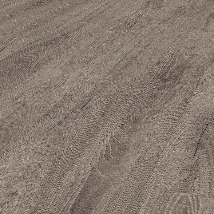 LOGOCLIC Ambienta Laminat Venus (Venus, Landhausdiele, 1 288 x 195 x 10 mm) | BAUHAUS