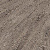 LOGOCLIC Ambienta Laminat Venus (Venus, Landhausdiele, 1 288 x 195 x 10 mm) | BAUHAUS