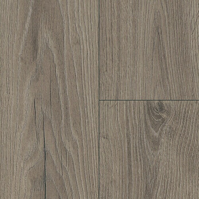LOGOCLIC Ambienta Laminat Venus (Venus, Landhausdiele, 1 288 x 195 x 10 mm) | BAUHAUS