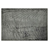 Alfombra de pelo corto Stelvio Picos (Gris, 230 x 160 cm, 100% Poliéster) | BAUHAUS