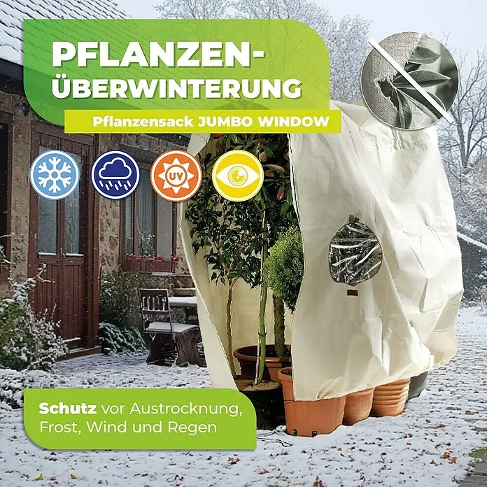 BioGreen Winterschutzhaube Jumbo Window - 240 x 200 cm, 100 g/m² - Pflanzen-Überwinterungssack Jumbo Window zum Schutz vor Austrocknung, Frost, Wind und Regen. Mit Sichtfenster für optimale Pflanzenpflege.