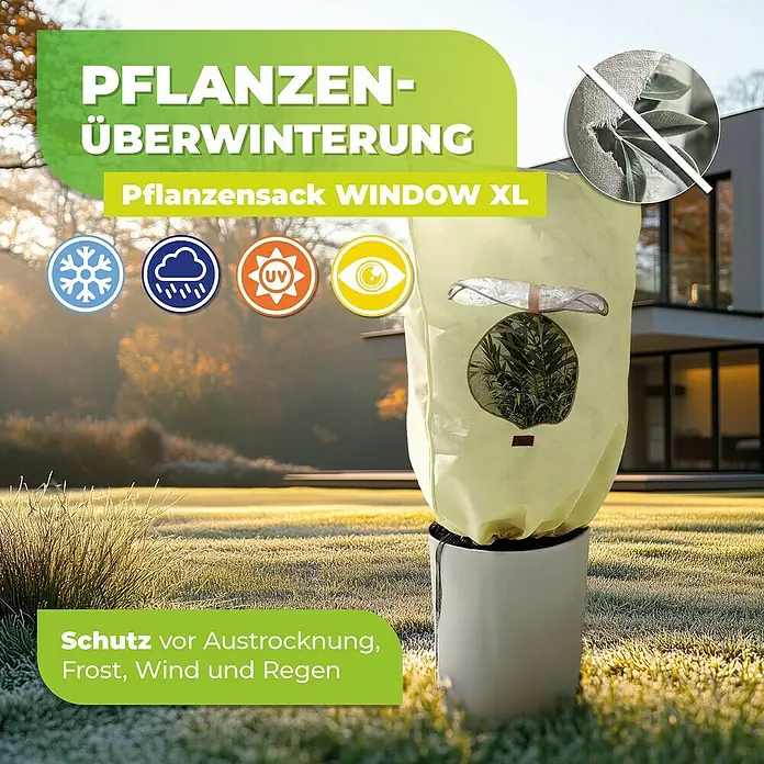 BioGreen Winterschutzhaube Window XL - Ø x H: 51 x 100 cm, 70 g/m² - Das Bild zeigt einen Pflanzensack WINDOW XL zum Schutz von Pflanzen vor Austrocknung, Frost, Wind und Regen im Winter.