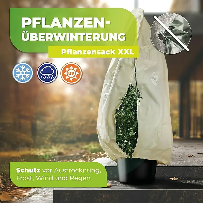 BioGreen Winterschutzhaube XXL - Ø x H: 76 x 180 cm, 70 g/m² - Pflanzensack XXL zum Schutz von Pflanzen vor Frost, Wind, Regen und Austrocknung. Ideal zur Überwinterung im Garten.
