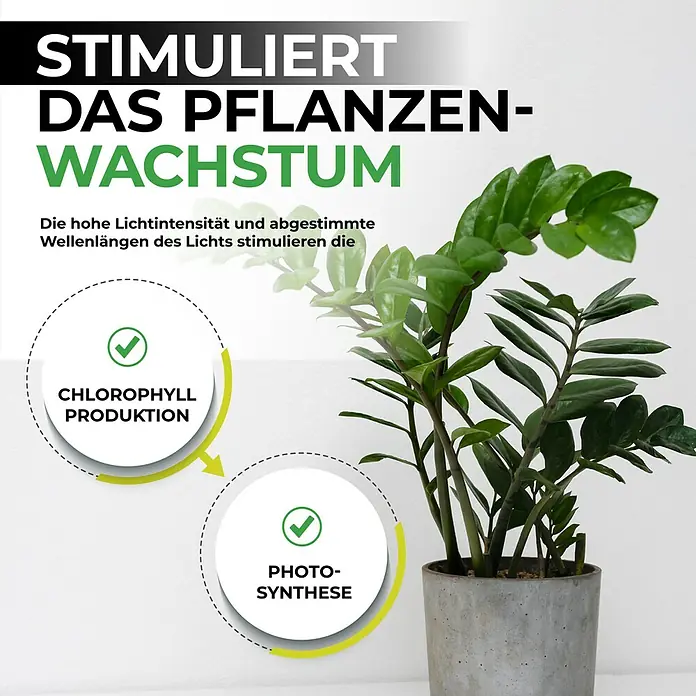 BioGreen Pflanzenlampe Florabooster 200 - Länge: 90 cm - Das Bild zeigt eine Pflanze im Topf, wobei hervorgehoben wird, dass sie durch Lichtintensität Chlorophyllproduktion und Photosynthese stimuliert.