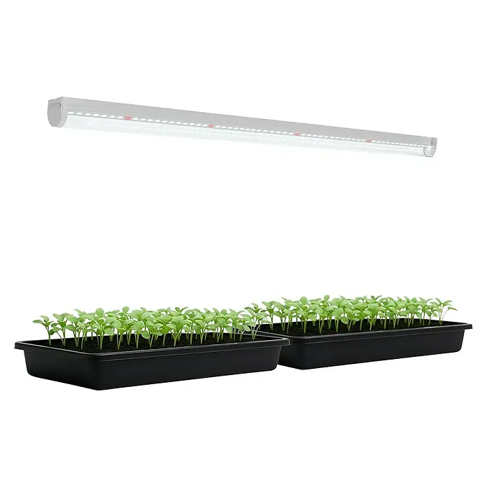 BioGreen Pflanzenlampe Florabooster 200 - Länge: 90 cm - Nahaufnahme von zwei schwarzen Pflanzschalen mit jungen Pflanzen unter einer LED-Wachstumslampe. Perfekt für Indoor-Gartenarbeit.